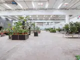 Stort lagerlejemål med mulighed for engrossalg. velbeliggende i et eftertragtet erhvervsområde i Glostrup. - 5