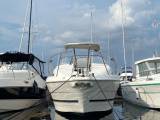 Bayliner 2655 - ceira- sunBridge 