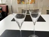 Riedel champagneglas. 