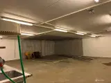 Dejlige tør kælder med adgang til toilet - 3