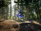 Yamaha YZ 250 F - 4