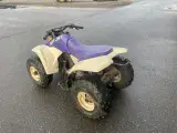 Suzuki QUAD SPORT 80 - 3