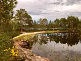 Hytte og ø i Norge syd for Lofoten - 4