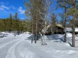 Hytte, Golfalpin i Hemsedal, Norge - 4
