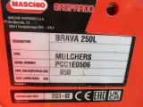 Maschio Brava 250 Kampagnepris - 5
