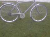 Everton classic 28" stel. 54   7 gear