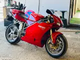 Evt. byt. Sjælden Ducati 998 Testatretta Bip - 5