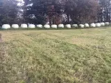 Wrap baller