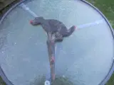 1 stk Metal Skilt No Gå væk hund 