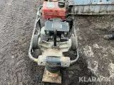 Jordloppe - 2