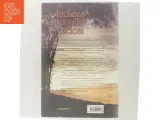 Indiens spirituelle visdom. Nyt bind 1, Om at søge efter lykken og sandheden om livet hos indiske guruer og palmebladsastrologer af Lisbeth Ejler - 3