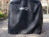 Havegasgrill Weber Q 2000 - 3