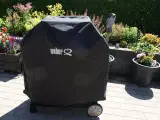 weber q3200 - 4