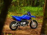 Yamaha TT R50E - 3
