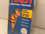 Anti-træk hundesele
