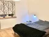 Hus i fredelige omgivelser - 3
