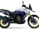 Suzuki DL 800 DE V-Strom - 2