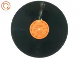 Andy Bown, sweet william fra Mercury (str. 30 cm) - 3