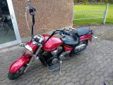 Yamaha XVS1300A nysynet årg.07 lavkm - 2