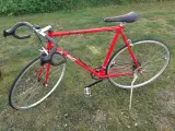 Bjarne Ris cykel 