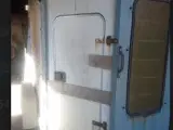 Brugt hestetrailer - 3