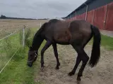 Hjem før pris.. fra maj 2021 - 2