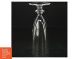 Champagneglas (6 stk) (str. 16 cm) - 4