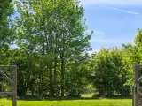 🏡🌳 LANDEJENDOM MED EGEN SØ OG MASSER AF NATUR!  - 3