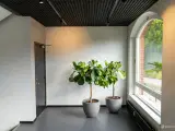Fantastisk beliggenhed med mulighed for klinik - 4