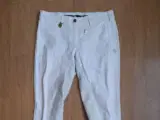 Pikeur Ridebukser