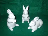 Tre porcelains harer