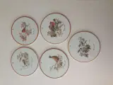Mads stage fugle platter