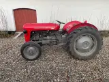 Massey ferguson 35 benzin - 5