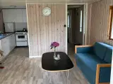 Kolonihave i Esbjerg - 5