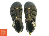 Skechers vandresandaler fra Skechers (str. 36) - 4