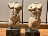 Torso sæt