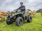 Yamaha Kodiak 450 EPS Diff-lock Traktor - 4