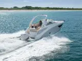 Ny Regal Luxus Cruiser