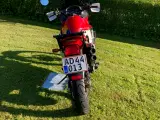 Honda Transalp XL600 V - 4