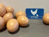 Kunstige æg til redekassen