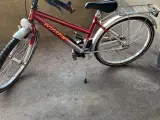 Pigecykel