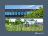 Stilsikkert indre i grønne omgivelser - 5