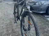 mountainbike. Busetto 29,tommer ,24,gear, 