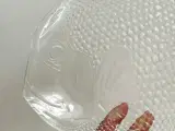 Fisketalllerken, Arcoroc - 5