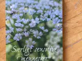 Særligt sensitive mennesker