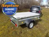 Neptun GN117 MED 40 cm sider