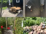 Nyrenoveret kolonihave Odense C  - 2