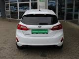 Ford Fiesta 1,5 TDCi 85 Trend Van - 5