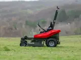 - - - DELMORINO 100% ITALIENSK - 3