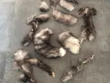 Pels stykker